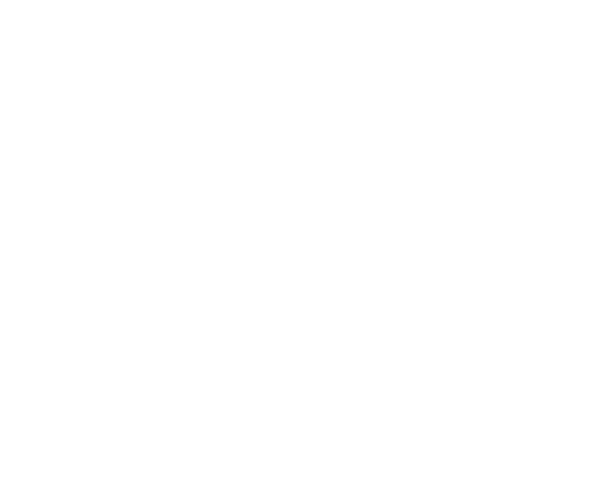 SSI — Shri Sahasra Infra